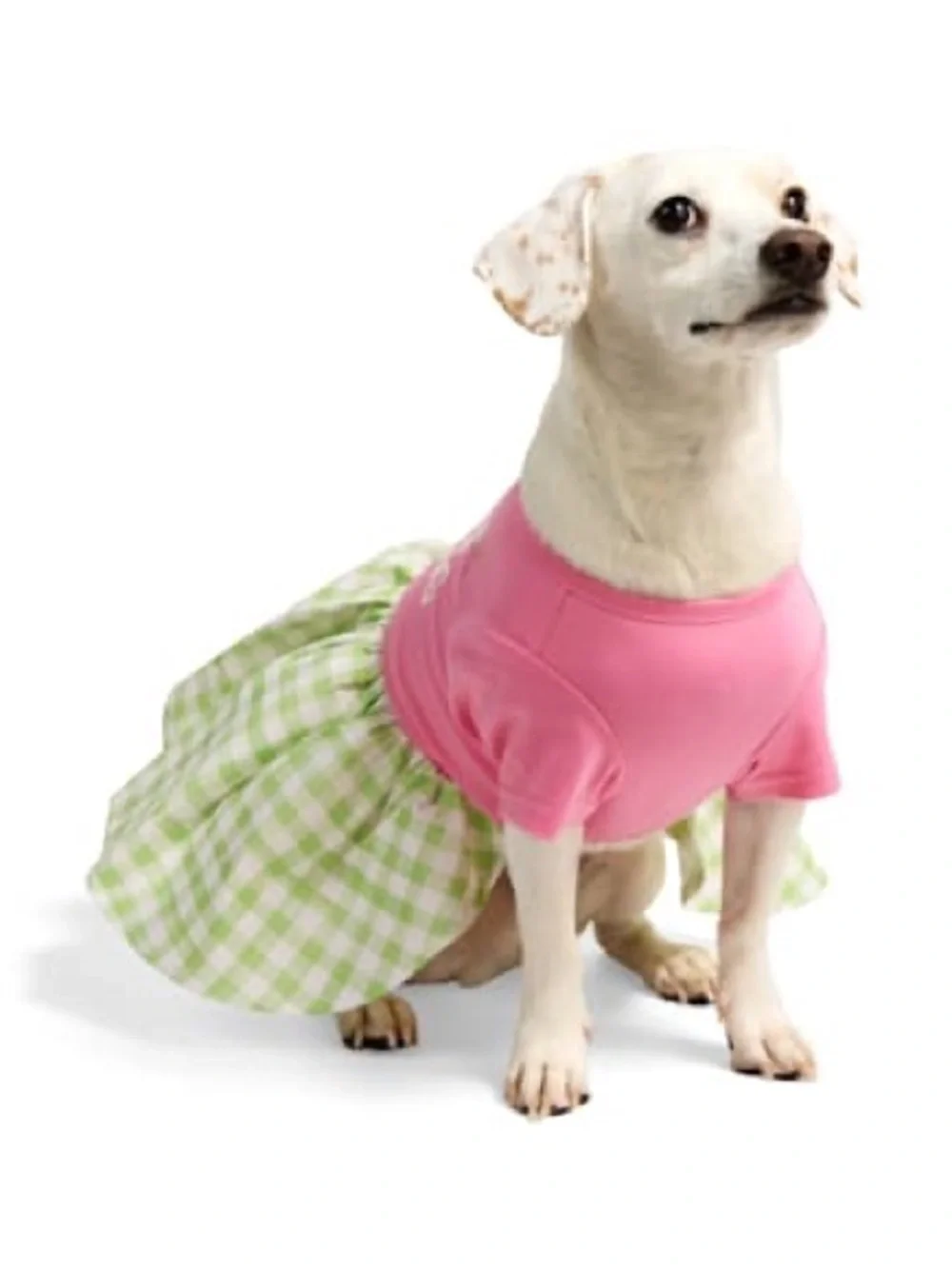 YOULY Perfect Is Boring Pet Dress XS